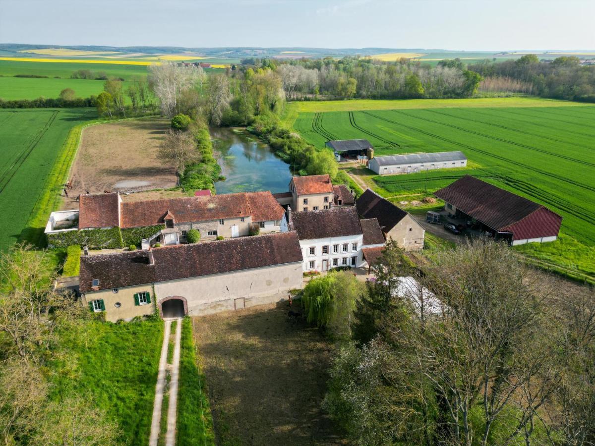 Le Moulin Neuf Villa Brienon-sur-Armancon Exterior photo